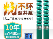 深井泵380v高揚程大流量多級農用深水灌溉潛水泵