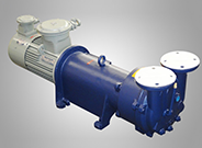 2BV水環式真空泵及壓縮機