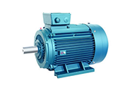 YE3系列三相異步電動機