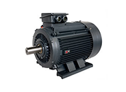 YE2系列三相異步電動機