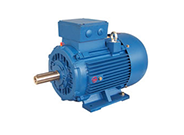 1L系列三相異步電動機