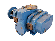 ZJP系列羅茨泵