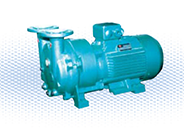 SKA(2BV)系列水環(huán)真空泵及壓縮機(jī)